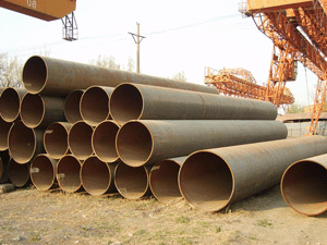 宅男宅女网产品